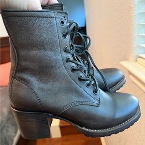 Freebird by Steven Cavalier